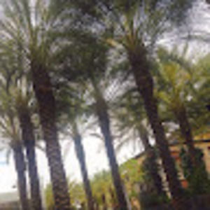 Meet your Posher, Randall